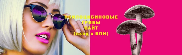 амф Корсаков